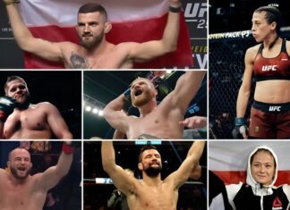 Polacy w UFC – statystyki