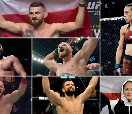 Polacy w UFC – statystyki