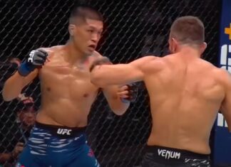 Wszystkie skończenia z gali UFC: Whittaker vs de Ridder (WIDEO)