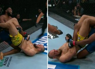 Trzecia skrętówka z rzędu! Valter Walker z kolejnym świetnym poddaniem w UFC (WIDEO)