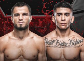 Doniesienia: Umar Nurmagomedov w następnej walce zmierzy się z Mario Bautistą