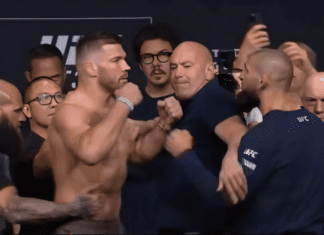 Gorąco między Du Plessiem a Chimaevem! Ostatnie spotkanie twarzą w twarz przed UFC 319 (WIDEO)