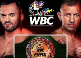 Pas WBC stawką pojedynku Tomasz Adamek vs Roberto Soldic na wrześniowej gali FAME 27