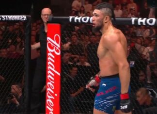 Johnny Walker znokautował Mingyanga Zhanga w walce wieczoru gali UFC w Szanghaju! (WIDEO) johnny walker ufc win