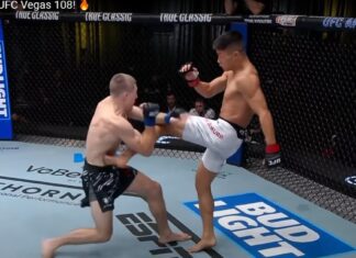 Wszystkie skończenia z gali UFC Fight Night: Taira vs Park (WIDEO)