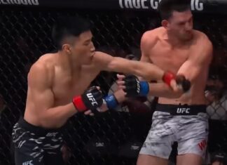 Wszystkie skończenia z gali UFC Fight Night: Walker vs Zhang (WIDEO)