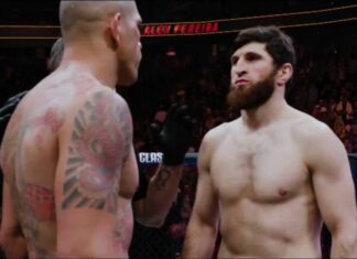 Alex Pereira sporym underdogiem przed rewanżem z Magomedem Ankalaevem w walce o pas UFC