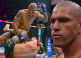 Alex Pereira odzyskał pas UFC! Ankalaev błyskawicznie znokautowany! (WIDEO)