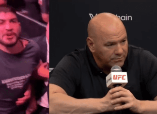 Dillon Danis zbanowany ze wszystkich wydarzeń UFC. Bójka na trybunach w Nowym Jorku (WIDEO)