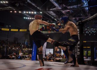 15. Mistrzostwa MMA – zapowiedź wideo