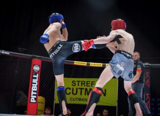 Transmisja 15. Mistrzostw MMA dostępna w internecie. Finały w Canal+