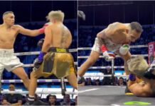 Tony Ferguson z kolejną wygraną w ringu bokserskim (WIDEO)
