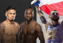 UFC Fight Night: Royval vs Kape – wyniki gali z walką Cezarego Oleksiejczuka