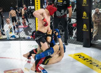 Transmisja 16. Mistrzostw MMA dostępna w internecie. Finały w Canal+