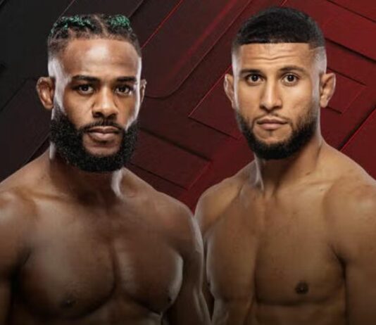 Gdzie i o której obejrzeć galę UFC Fight Night: Sterling vs Zalal z Las Vegas? Transmisja i szczegóły