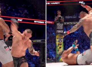 Mocny nokaut i potężna dobicie w parterze. Darko Stosic rozbił cięższego o 24 kilogramy Grega Hardy’ego (WIDEO)