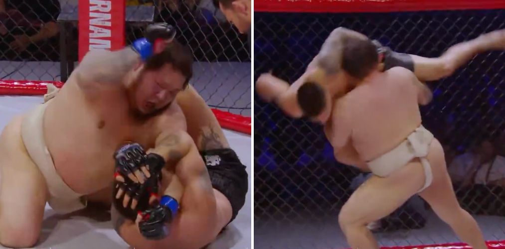 SumovsBoks.jpg