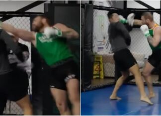 Sparing Conora McGregora z emerytowanym, byłym zawodnikiem UFC (WIDEO)