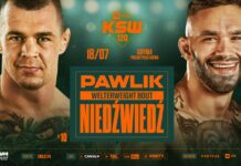 Pawlik vs. Niedźwiedź. Ekscytujące zestawienie na gali XTB KSW 120 w Gdyni