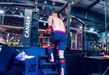 Transmisja 17. Mistrzostw MMA dostępna w internecie. Finały w Canal+
