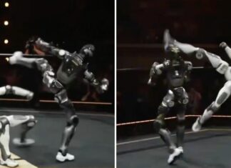 W Chinach odbyła się pierwsza walka robotów w klatce do MMA (WIDEO)