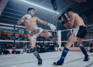 Polacy w UFC latem 2026: sierpniowe starcia, na które warto czekać