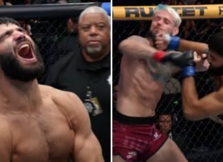 Nokaut w 35 sekund! Nick Galanti błyskawicznie rozbił Carlosa Petruzzellę i zdobył kontrakt z UFC
