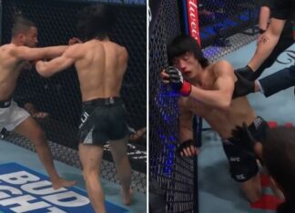 Kolejny mocny nokaut na UFC! Hector Santiago udanie debiutuje odprawiając Lawrence’a Lui