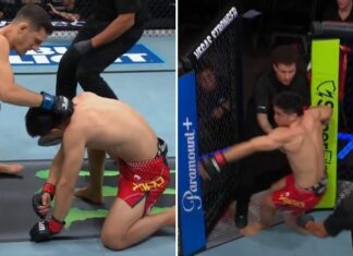 Niemal wypadł z klatki po nokaucie! Francesco Nuzzi z udanym debiutem w UFC po skończeniu Long Xiao