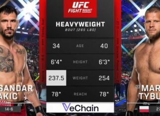 Tybura vs Rakić. Skrót walki Polaka z gali UFC w Belgradzie (WIDEO)