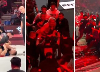 Ugryzienie, uderzenie z liścia i awantura z udziałem Gordona Ryana na ADCC w Krakowie (WIDEO)