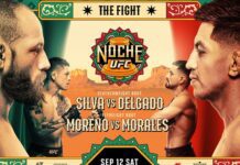 UFC Fight Night: Silva vs Delgado – wyniki gali. Sprawdź, kto wygrał!