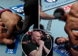 Uśpił rywala potężnym łokciem w parterze! Niepokonany Quentin Pasley z kontraktem z UFC