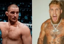 Jake Paul zareagował na zapowiedzi Seana Stricklanda