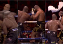 Daniel Dubois w spektakularnym stylu rozprawił się z Fabio Wardleyem (WIDEO)